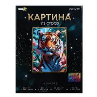 ХОББИХИТ Картина из страз, комплект: твердая основа, стразы, стилус, 30х40см, 5-10 дизайнов