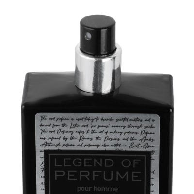 Парфюмерная вода мужская тм BELLERIVE legend of perfume XVII, 100 мл