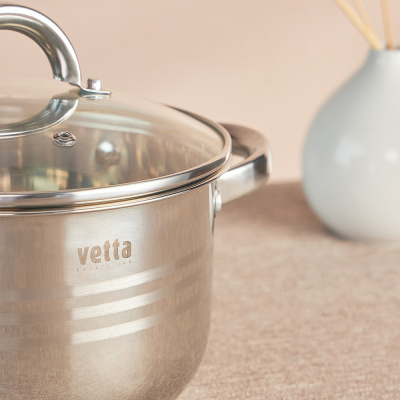 VETTA Фултон Кастрюля 24х14см, 5,4л, со стекл. крышкой, индукция