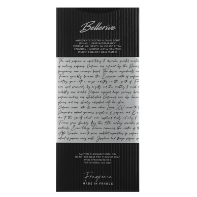 Парфюмерная вода мужская тм BELLERIVE legend of perfume XVII, 100 мл