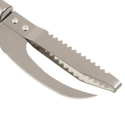 Рыбочистка тм AZOR FISHING, нерж.сталь 304, 22,5x4см