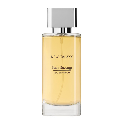 NEW GALAXY Парфюмерная вода мужская Black Sauvage, 100 мл