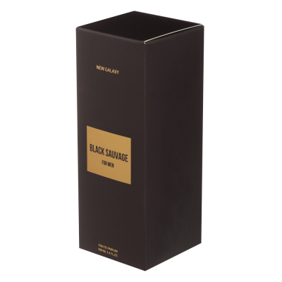 NEW GALAXY Парфюмерная вода мужская Black Sauvage, 100 мл