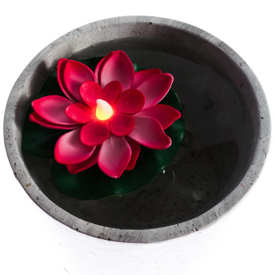 Фигура для пруда с подсветкой 1LED (СR2032) тм INBLOOM, d10 см, пластик, 6цв.