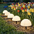 Светильник сад.на солн.батар. тм INBLOOM Полусфера, 5шт,15х16см,5LED,шампань,АА600mAh Ni-MH,1реж.,PP